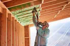 Best Insulation Replacement  in USA